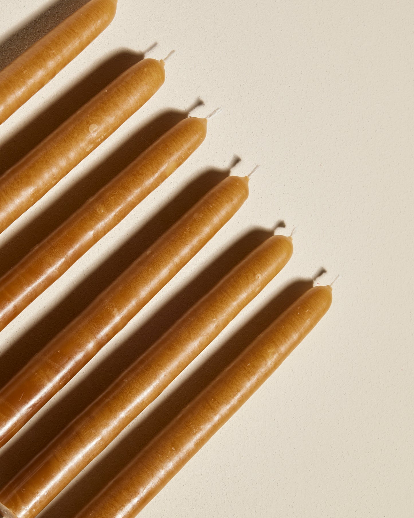 Les Bougies - Fauve luxe Maison Sarah Lavoine Fauve Cire  20 cm 2