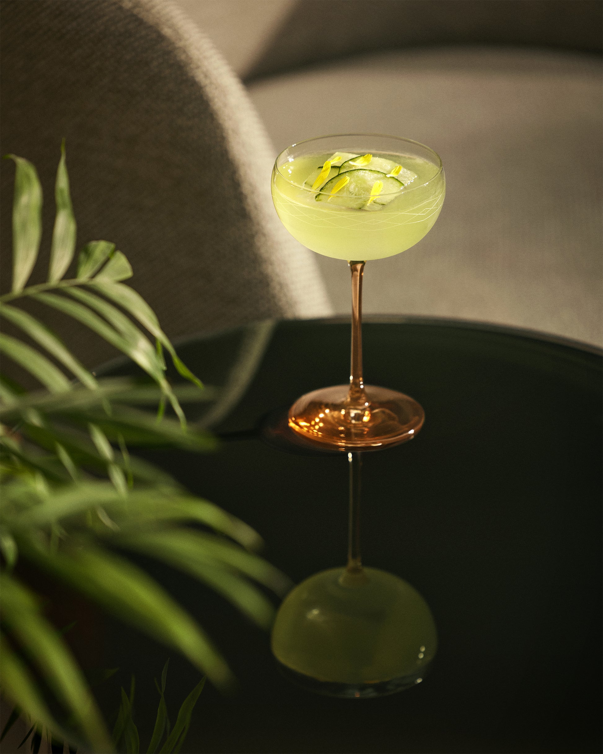 Coffret x2 Coupes Martini - Fauve design Maison Sarah Lavoine Fauve Verre  12 cm 4