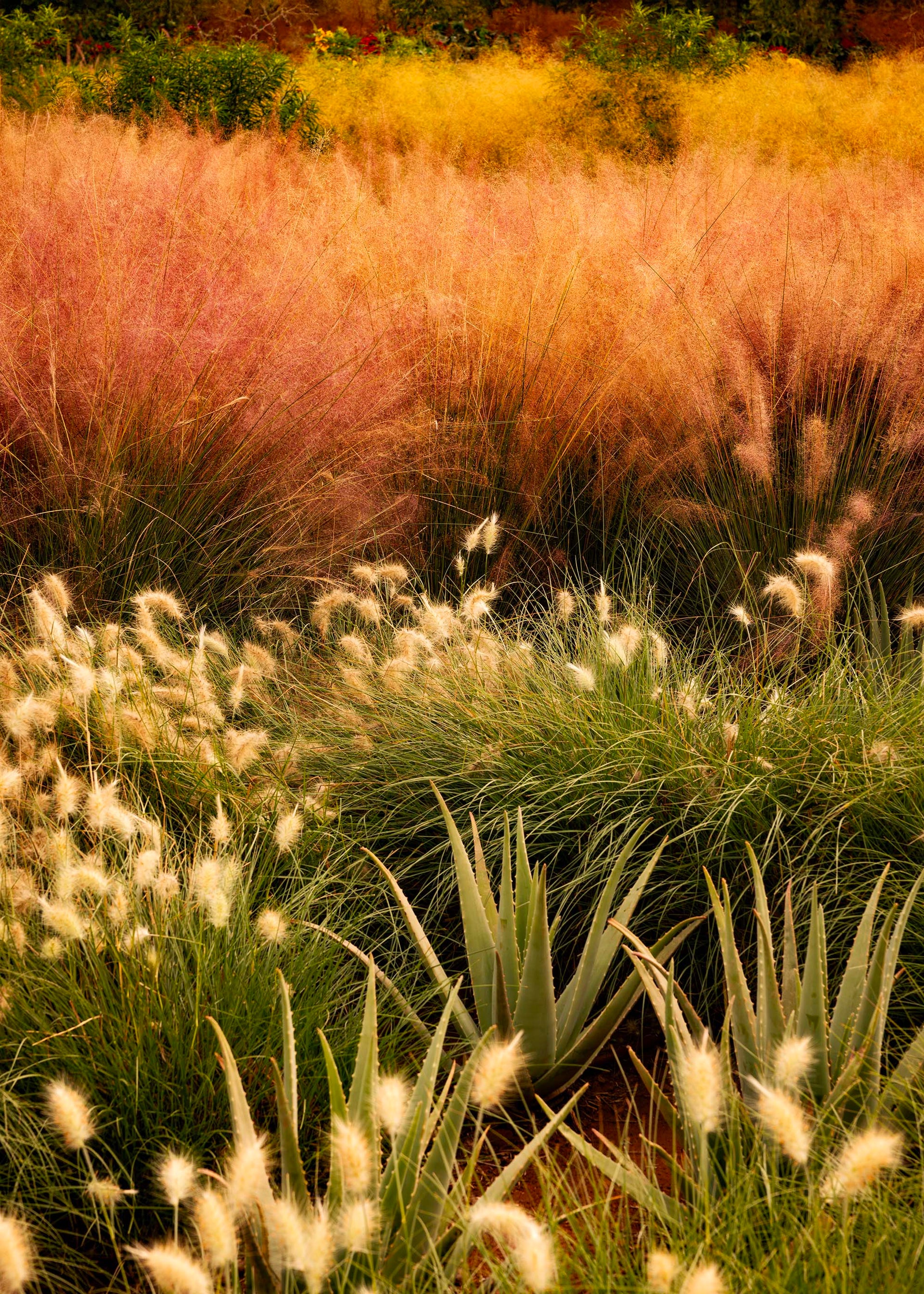 Maison Sarah Lavoine