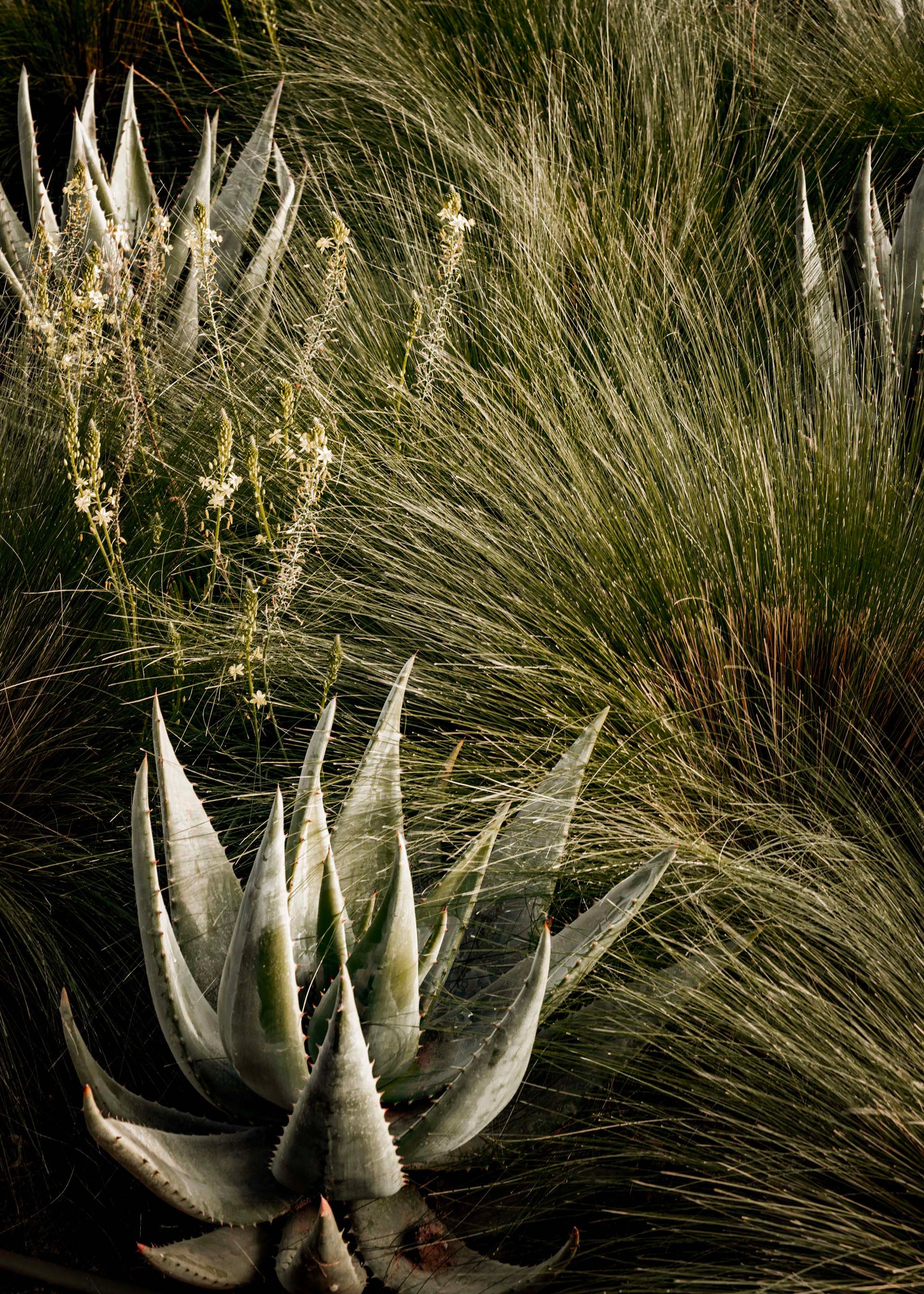 Maison Sarah Lavoine