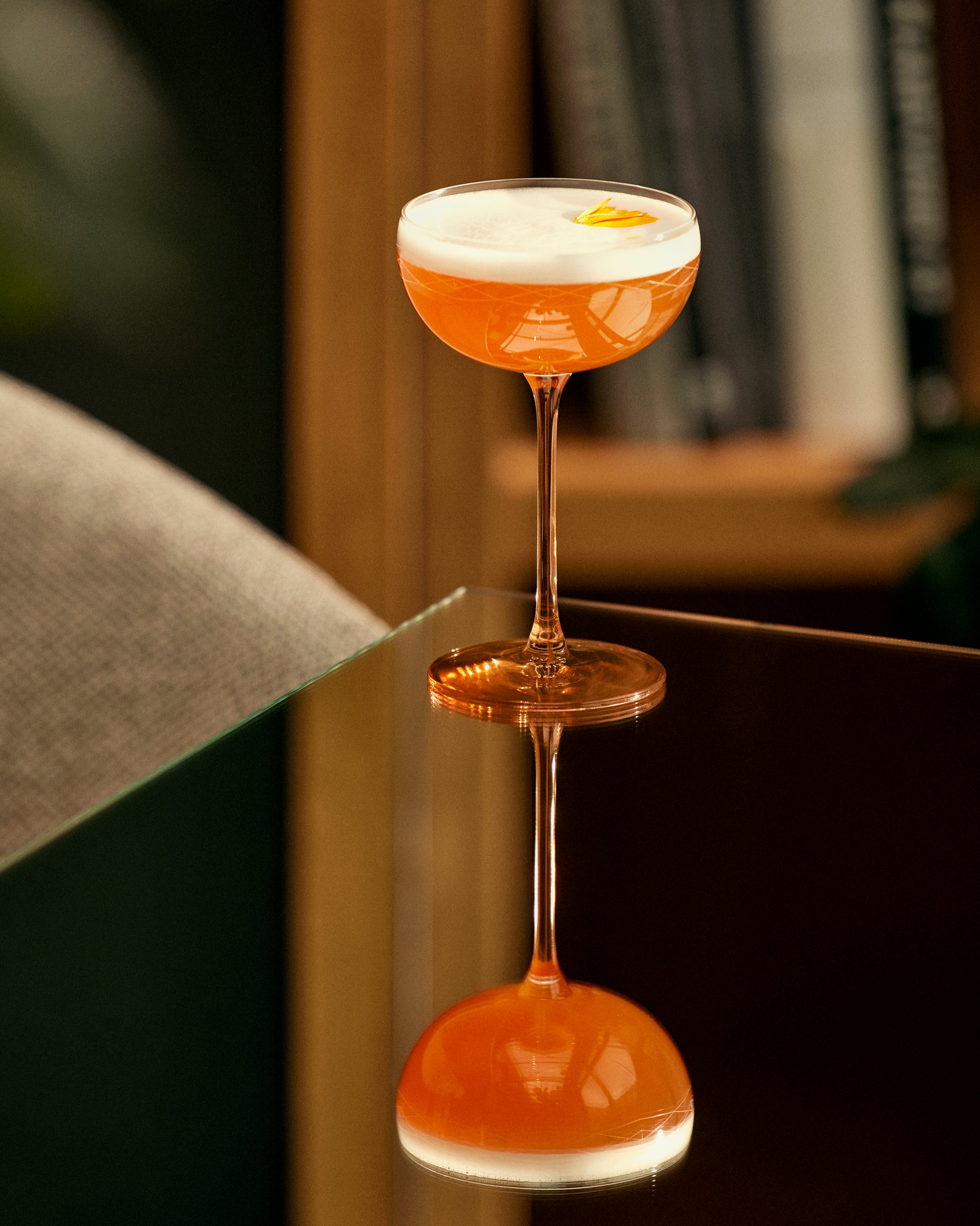 Coffret x2 Coupes Martini - Fauve design Maison Sarah Lavoine Fauve Verre  12 cm 5