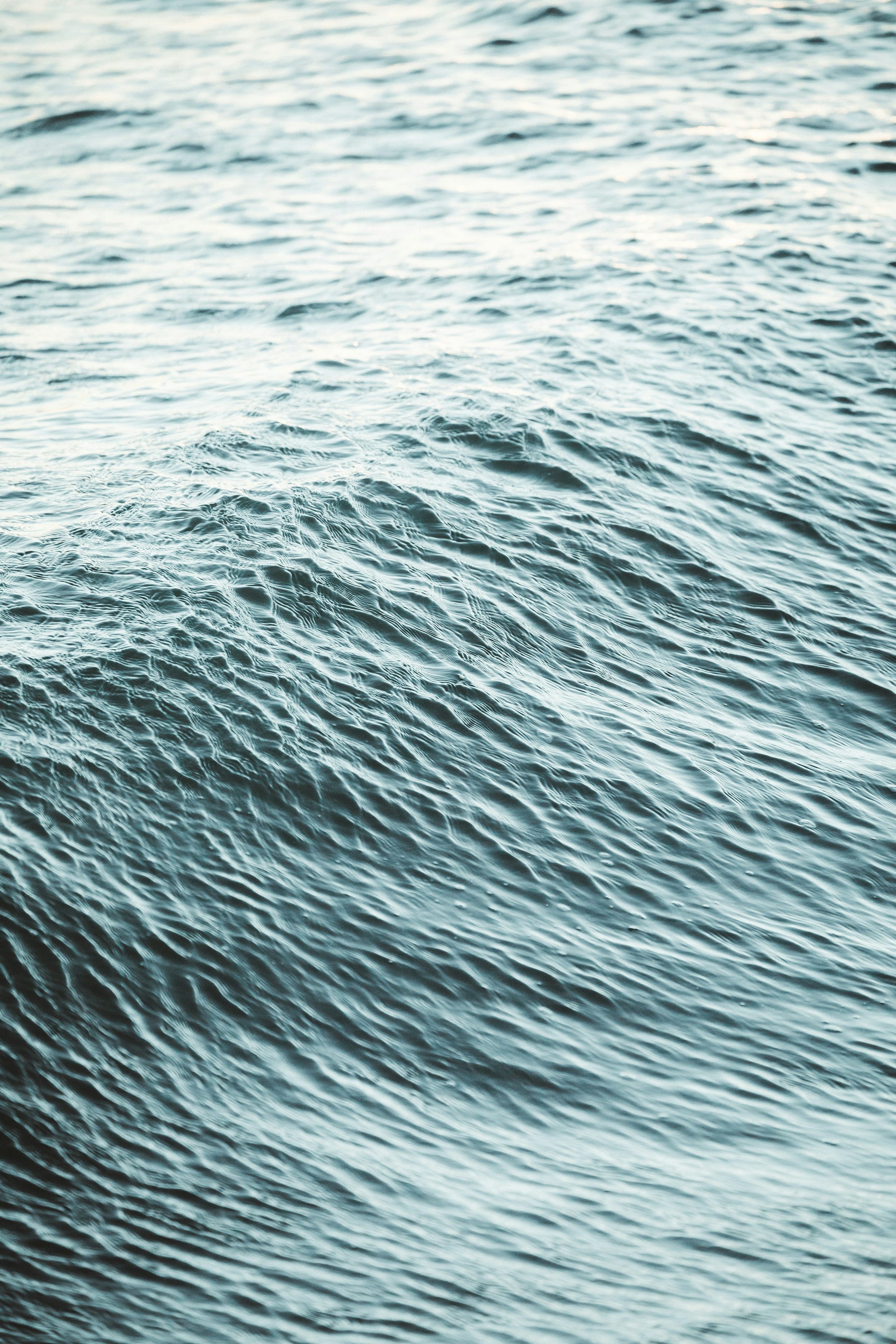 Maison Sarah Lavoine