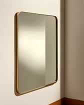 Hector Mirror