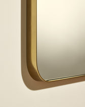 Hector Mirror