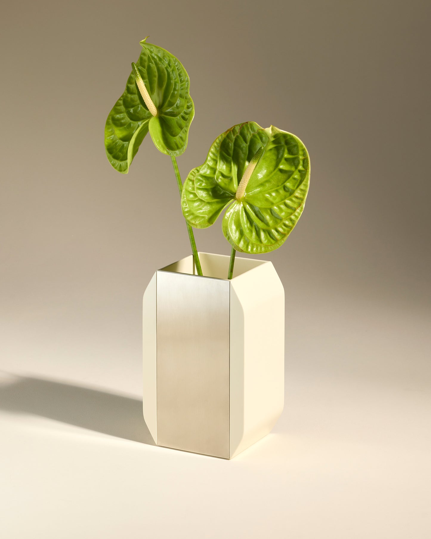 Vase Oscar - Ecru  2 - Décoration Design